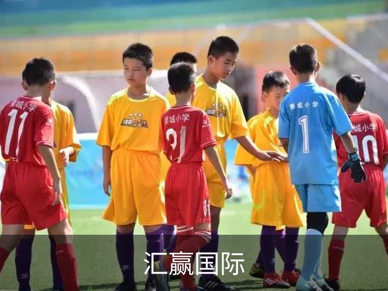 汇赢国际介绍